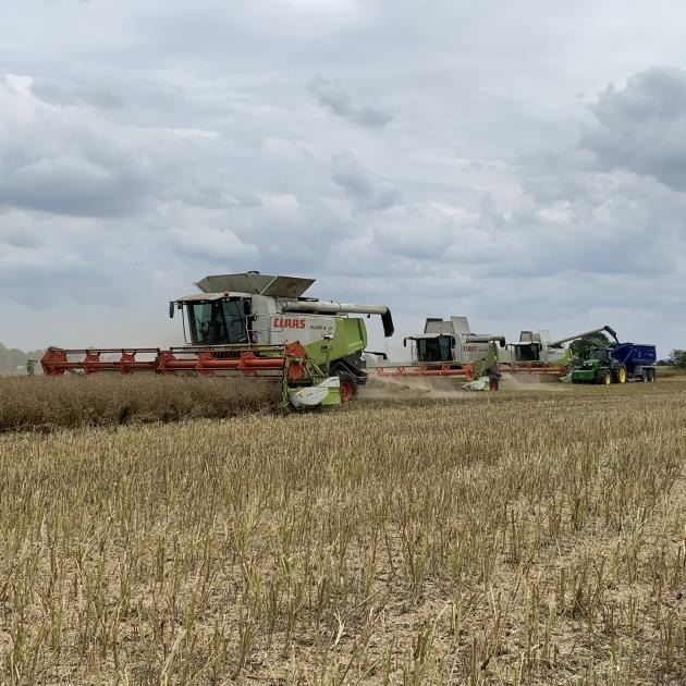 Grain Saver Grain Saver Chaser Bin *Hire* *Video Below* - Põllutöö järelhaagis: pilt 4 Grain Saver Grain Saver Chaser Bin *Hire* *Video Below* - Põllutöö järelhaagis: pilt 4