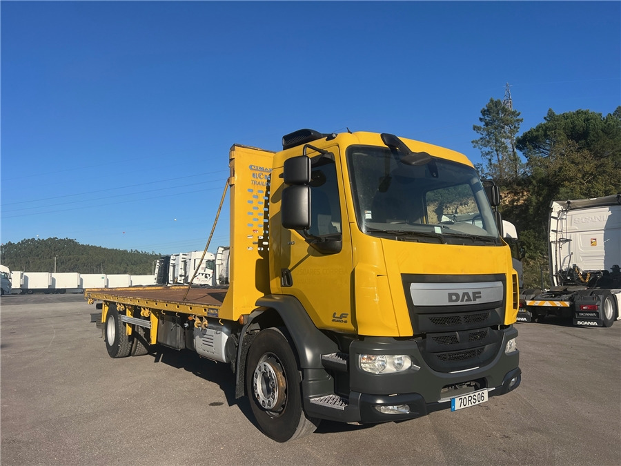 DAF LF 310 - Madelveok/ Platvormveok: pilt 1 DAF LF 310 - Madelveok/ Platvormveok: pilt 1