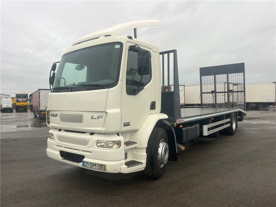 DAF LF 55.220 - Madelveok/ Platvormveok: pilt 1 DAF LF 55.220 - Madelveok/ Platvormveok: pilt 1