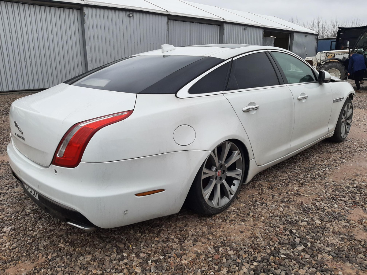 JAGUAR XJ SEDAN - Sedaan: pilt 4 JAGUAR XJ SEDAN - Sedaan: pilt 4