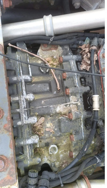 Renault Premium 420 Dci Engine + Automatic Gearbox - Mootor - Veoauto: pilt 5 Renault Premium 420 Dci Engine + Automatic Gearbox - Mootor - Veoauto: pilt 5