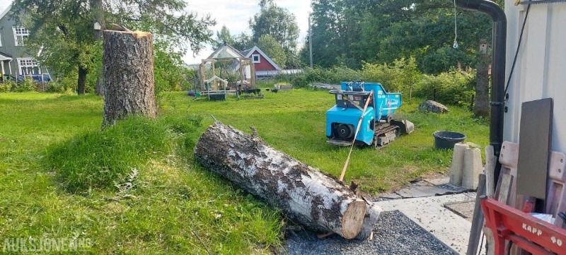 2016 Messersi Tch 10d - Selvlastende minidumper - Kallur: pilt 5 2016 Messersi Tch 10d - Selvlastende minidumper - Kallur: pilt 5
