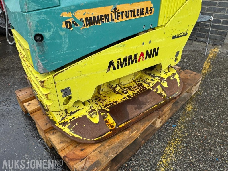 2019 AMMANN APH6020 Vibroplate / 536 kg - Rullija: pilt 5 2019 AMMANN APH6020 Vibroplate / 536 kg - Rullija: pilt 5