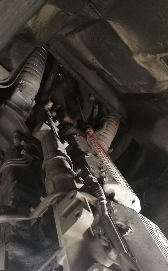 DAF XE 315 C1 DAF XF - Mootor - Veoauto: pilt 1 DAF XE 315 C1 DAF XF - Mootor - Veoauto: pilt 1