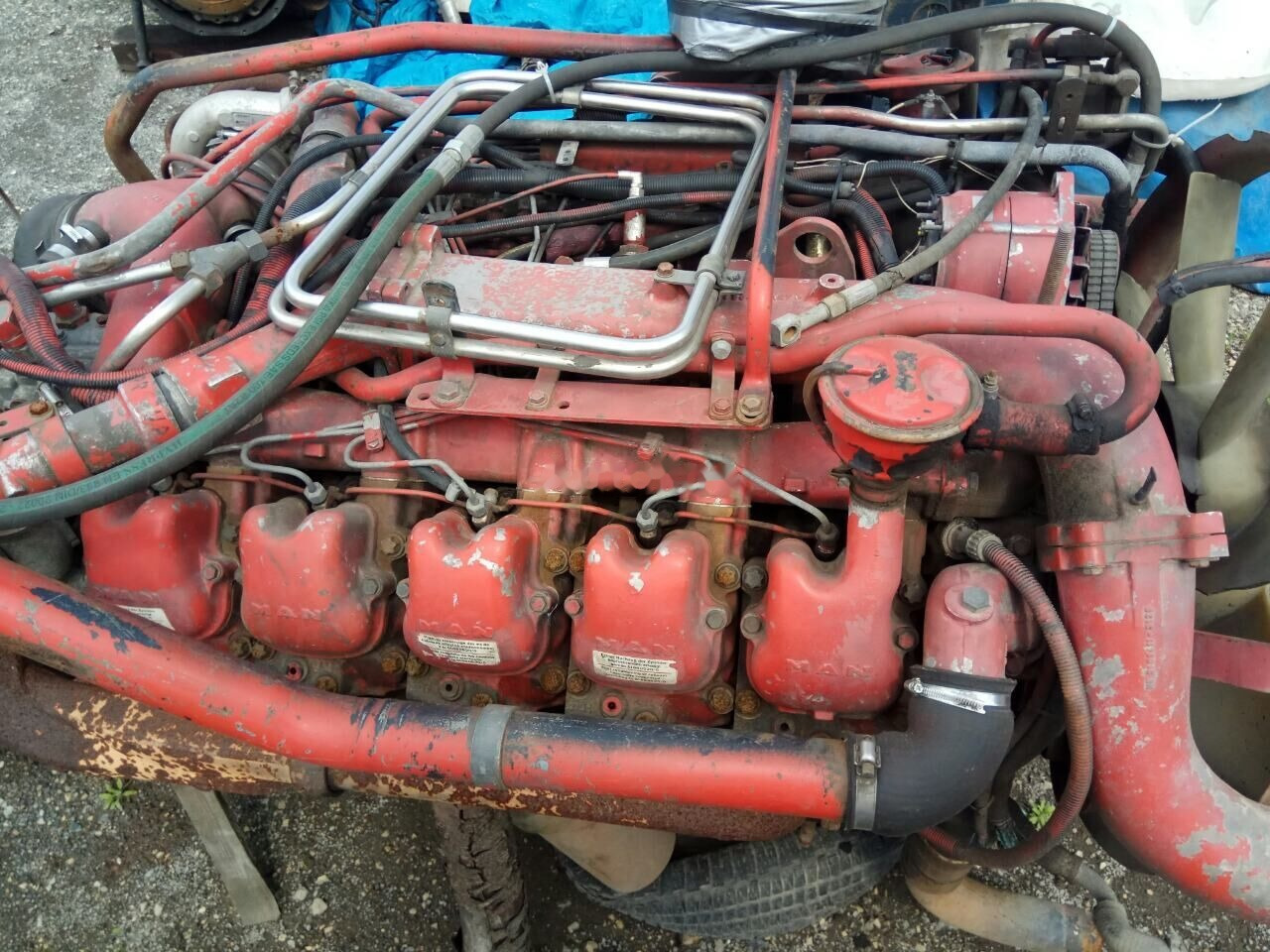 MAN D2840 LF01 MAN F 2000 - Mootor - Veoauto: pilt 1 MAN D2840 LF01 MAN F 2000 - Mootor - Veoauto: pilt 1