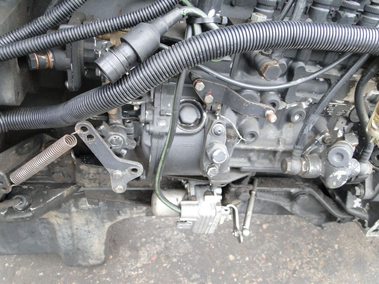 MAN D2865 LF05 MAN F90, F2000 - Mootor - Veoauto: pilt 1 MAN D2865 LF05 MAN F90, F2000 - Mootor - Veoauto: pilt 1