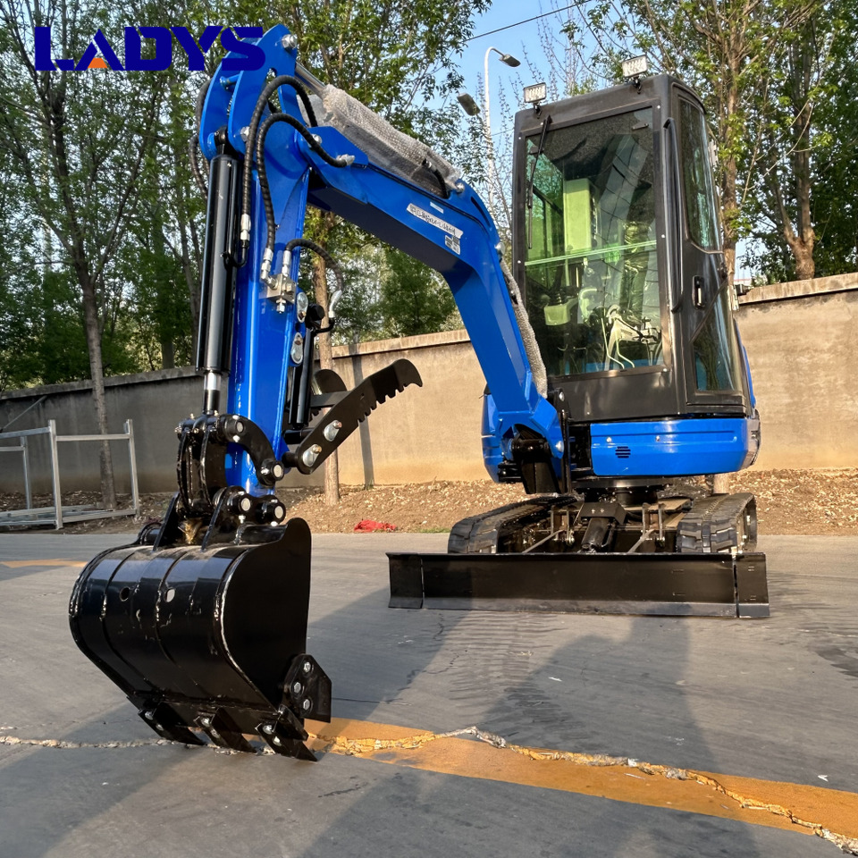 LADYS DY25U Mini Excavator CE Certification Kubota Engine(Factory Outlet) Mini Pelle Minibagger Minikoparka Miniexcavadora - Miniekskavaator: pilt 3 LADYS DY25U Mini Excavator CE Certification Kubota Engine(Factory Outlet) Mini Pelle Minibagger Minikoparka Miniexcavadora - Miniekskavaator: pilt 3
