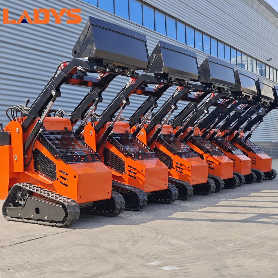 LADYS Free Shipping Mini Skid Steer Loader Compact Track Electric/Diesel Chinese Mini Skid Steer Loader For Sale With Mini Skid Steer Attachments 4 In 1 Bucket - Kompaktlaadur: pilt 1 LADYS Free Shipping Mini Skid Steer Loader Compact Track Electric/Diesel Chinese Mini Skid Steer Loader For Sale With Mini Skid Steer Attachments 4 In 1 Bucket - Kompaktlaadur: pilt 1