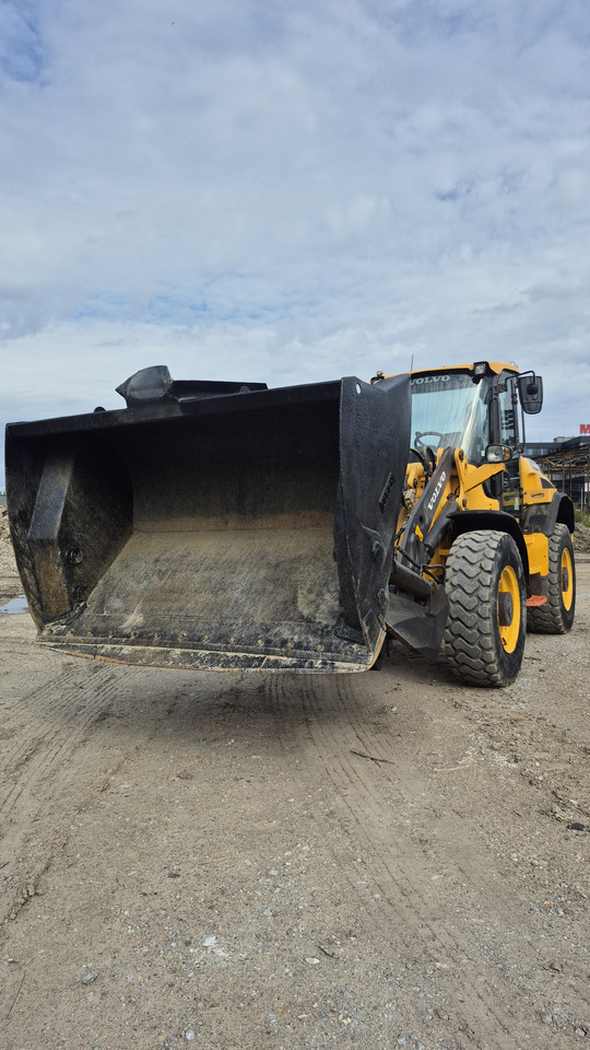 VOLVO L45H - Rataslaadur: pilt 3 VOLVO L45H - Rataslaadur: pilt 3