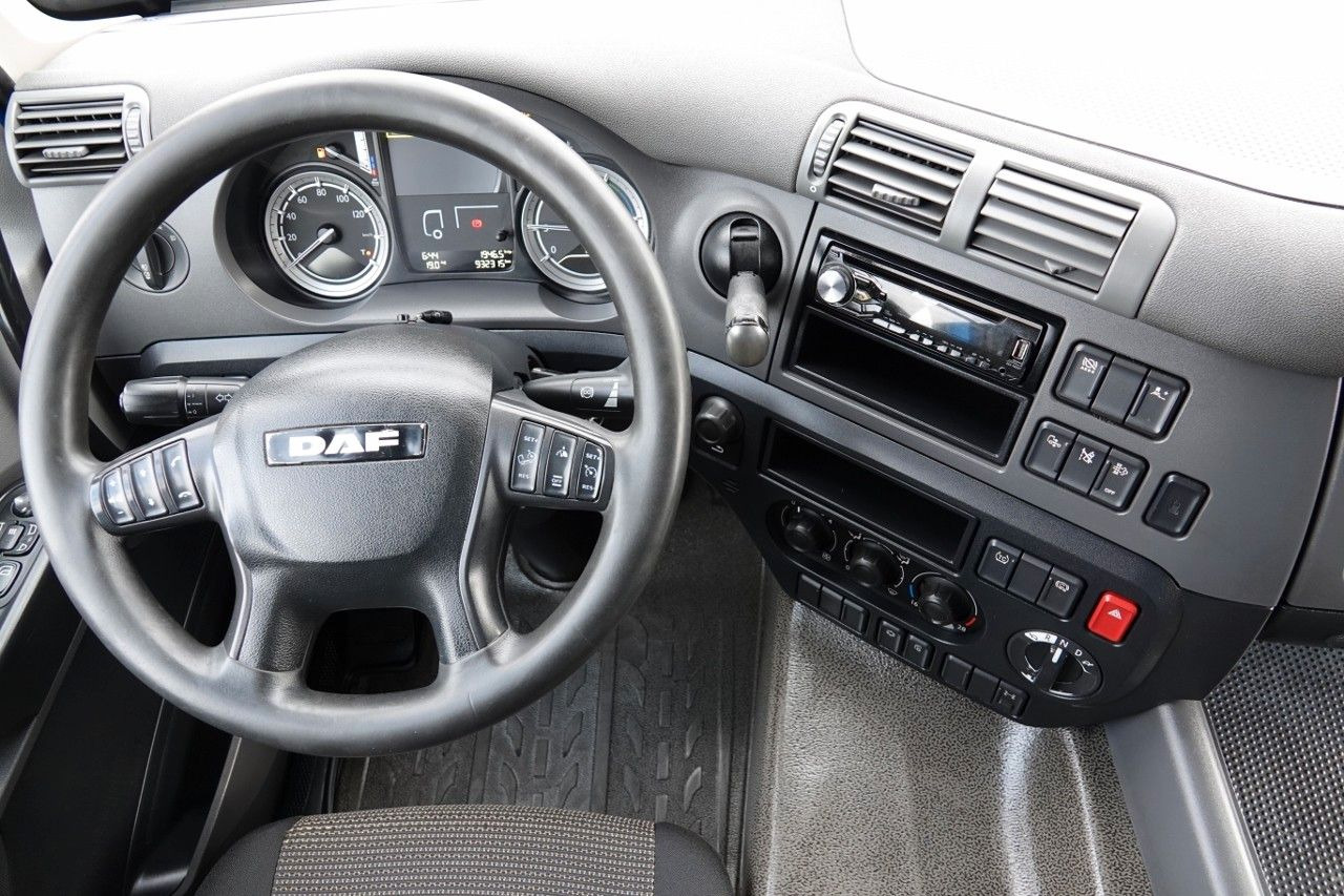 Sadulveok DAF CF 460 / AUTOMAT / EURO 6 / SPROWADZONY: pilt 14