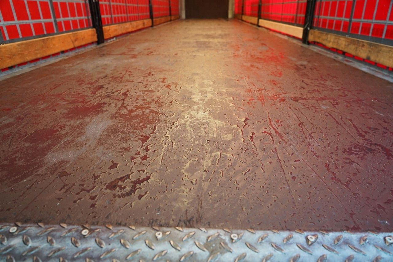 Tentpoolhaagis Schmitz Cargobull FIRANKA / STANDARD / PLANDEKA ZBROJONA: pilt 20