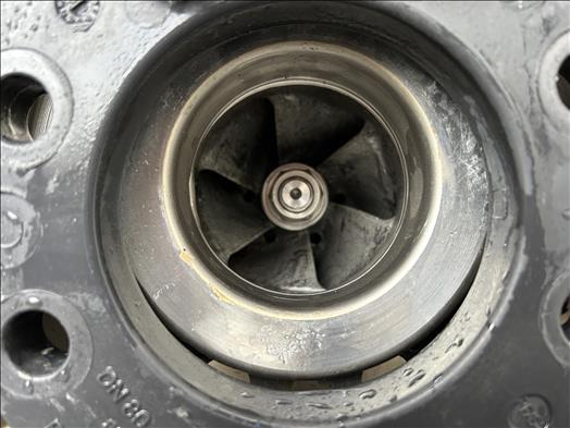 KSB Etachrom-BC65-200 Centrifugal pump - Toidumasin: pilt 3 KSB Etachrom-BC65-200 Centrifugal pump - Toidumasin: pilt 3
