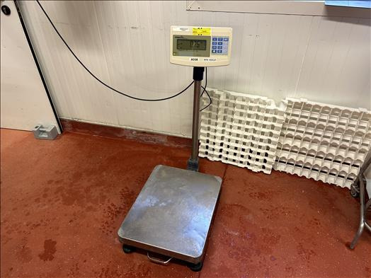 Precia Access Mini400 Platform scale - Toidumasin: pilt 1 Precia Access Mini400 Platform scale - Toidumasin: pilt 1
