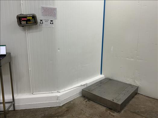 Precia Molen Pallet scale - Toidumasin: pilt 1 Precia Molen Pallet scale - Toidumasin: pilt 1