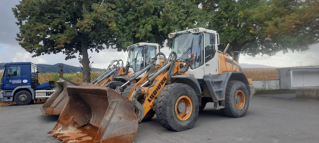 Liebherr L542 1-Hand Reifen:50% Deuschema - Rataslaadur: pilt 5 Liebherr L542 1-Hand Reifen:50% Deuschema - Rataslaadur: pilt 5
