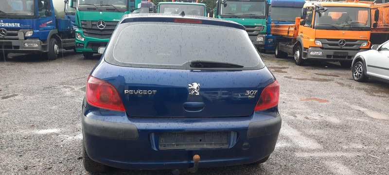 Peugeot 307 Grand Filou - Luukpära: pilt 4 Peugeot 307 Grand Filou - Luukpära: pilt 4