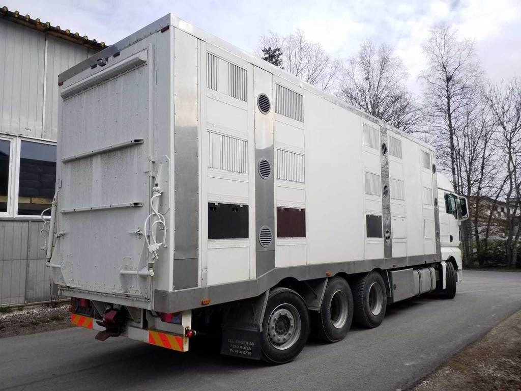 MAN TGX 35.540 8X4 TRIDEM ANIMAL - Loomaveok: pilt 3 MAN TGX 35.540 8X4 TRIDEM ANIMAL - Loomaveok: pilt 3