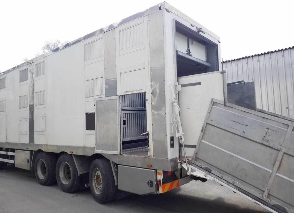 MAN TGX 35.540 8X4 TRIDEM ANIMAL - Loomaveok: pilt 5 MAN TGX 35.540 8X4 TRIDEM ANIMAL - Loomaveok: pilt 5