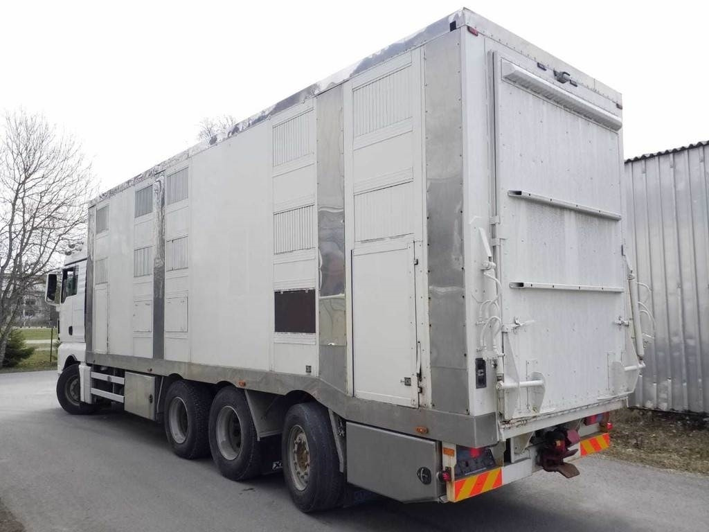 MAN TGX 35.540 8X4 TRIDEM ANIMAL - Loomaveok: pilt 2 MAN TGX 35.540 8X4 TRIDEM ANIMAL - Loomaveok: pilt 2