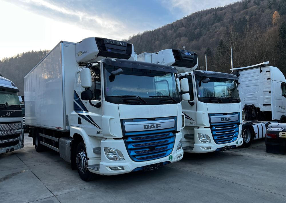 DAF CF370 // Chłodnia Carrier Supra 850 // Sypialka // 2017 Rok // ACC // - Külmutiga veoauto: pilt 3 DAF CF370 // Chłodnia Carrier Supra 850 // Sypialka // 2017 Rok // ACC // - Külmutiga veoauto: pilt 3
