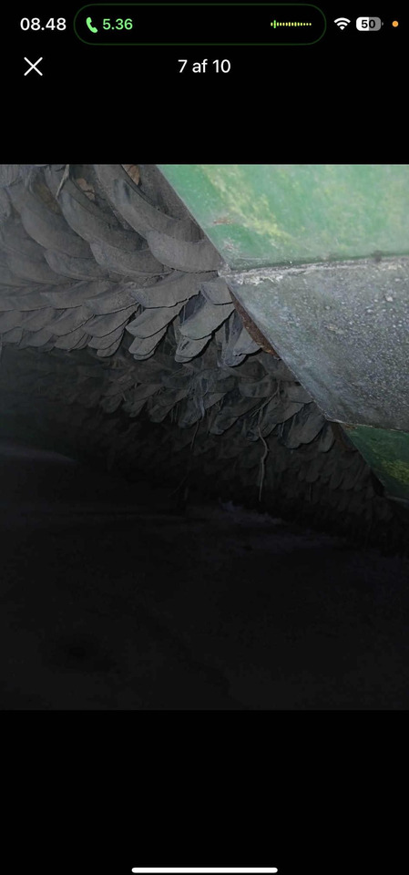 WM ROCKSTAR 1532 - Teehöövel: pilt 4 WM ROCKSTAR 1532 - Teehöövel: pilt 4