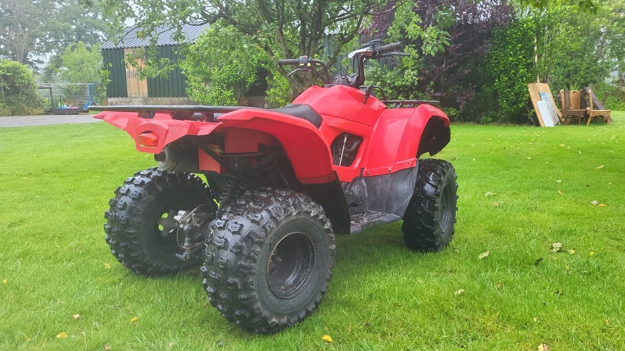 Yamaha Grizzly 300 - ATV: pilt 4 Yamaha Grizzly 300 - ATV: pilt 4