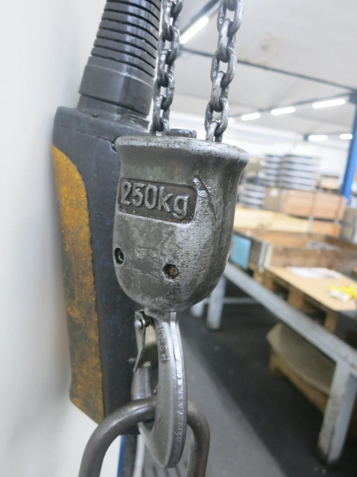 Demag 250 kg - Kraana: pilt 3 Demag 250 kg - Kraana: pilt 3
