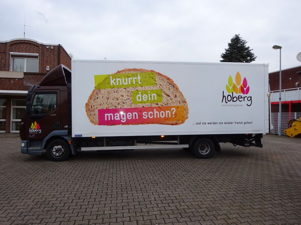 DAF LF 220 Koffer mit Palfinger LBW 4x2 - Tarbesõiduk furgoon: pilt 3 DAF LF 220 Koffer mit Palfinger LBW 4x2 - Tarbesõiduk furgoon: pilt 3