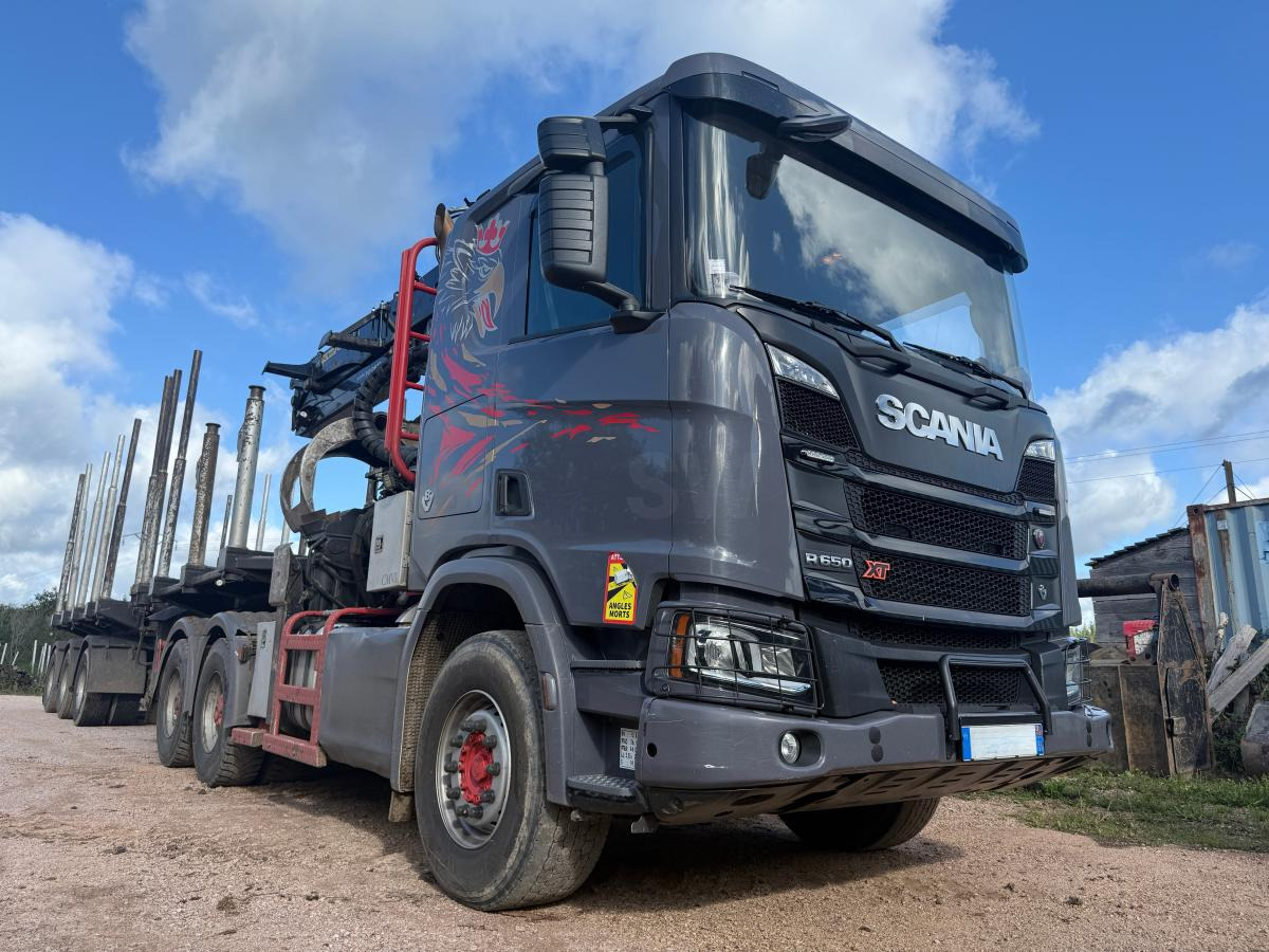 Scania R 650 A6x4HA V8 GRUE PALFINGER EPSILON S300L98 HPLS - Sadulveok: pilt 2 Scania R 650 A6x4HA V8 GRUE PALFINGER EPSILON S300L98 HPLS - Sadulveok: pilt 2