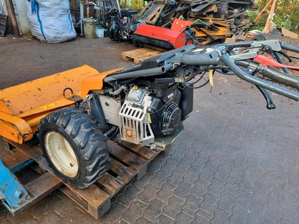 Motormäher Bucher Elite 14 Mulchmäher Agria Taifun Motormulcher Böschungsmulcher Böschungsmäher Seitenmulcher Mähausleger Bucher Irus Balkenmäher Hydrostat Mähraupe - Muruniiduk: pilt 4 Motormäher Bucher Elite 14 Mulchmäher Agria Taifun Motormulcher Böschungsmulcher Böschungsmäher Seitenmulcher Mähausleger Bucher Irus Balkenmäher Hydrostat Mähraupe - Muruniiduk: pilt 4
