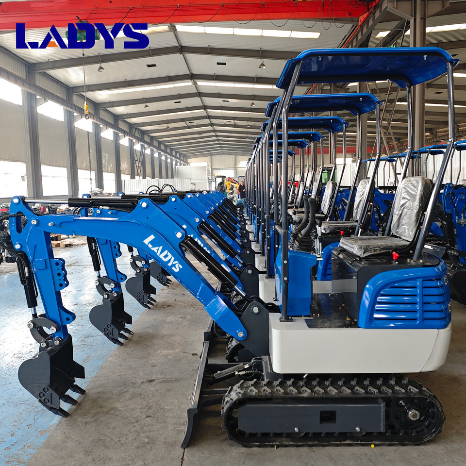 Free Shipping Mini Excavator Bagger Pelle Miniexcavadora 1 2 3.5 Ton CE/EPA/EURO 5 Kubota Engine Diesel/Electric Mini Excavators For Sale - Lintekskavaator: pilt 1 Free Shipping Mini Excavator Bagger Pelle Miniexcavadora 1 2 3.5 Ton CE/EPA/EURO 5 Kubota Engine Diesel/Electric Mini Excavators For Sale - Lintekskavaator: pilt 1