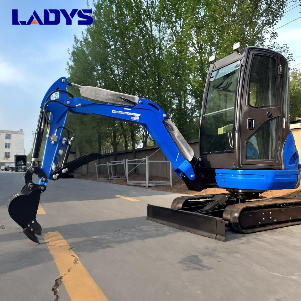 LADYS DY25U Mini Excavator Kubota Euro 5/Epa Engine Mini Excavator For Sale - Miniekskavaator: pilt 4 LADYS DY25U Mini Excavator Kubota Euro 5/Epa Engine Mini Excavator For Sale - Miniekskavaator: pilt 4