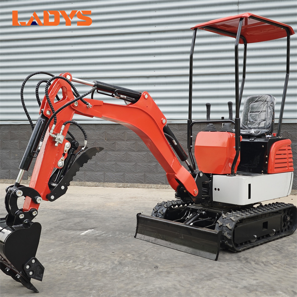 LADYS DY12Pro Mini Excavator Euro 5/Epa Engine Kubota Mini Excavator For Sale - Miniekskavaator: pilt 2 LADYS DY12Pro Mini Excavator Euro 5/Epa Engine Kubota Mini Excavator For Sale - Miniekskavaator: pilt 2