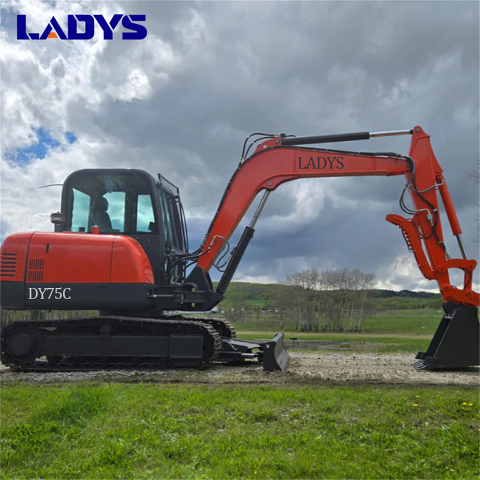 LADYS DY75C Small Excavator Euro 5/Epa Yanmar Engine Small Excavator Crawler Excavator For Sale - Lintekskavaator: pilt 1 LADYS DY75C Small Excavator Euro 5/Epa Yanmar Engine Small Excavator Crawler Excavator For Sale - Lintekskavaator: pilt 1
