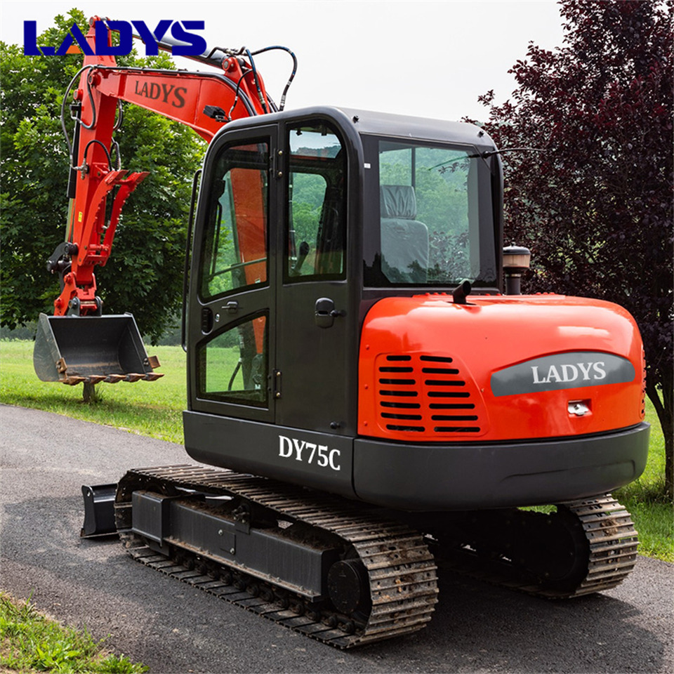 LADYS DY75C Small Excavator Euro 5/Epa Yanmar Engine Small Excavator Crawler Excavator For Sale - Lintekskavaator: pilt 5 LADYS DY75C Small Excavator Euro 5/Epa Yanmar Engine Small Excavator Crawler Excavator For Sale - Lintekskavaator: pilt 5