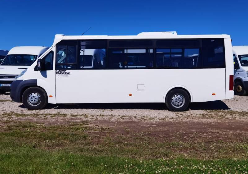 Fiat Ducato miejski, przewóz osób niepełnosprawnych - Linnaliini buss: pilt 5 Fiat Ducato miejski, przewóz osób niepełnosprawnych - Linnaliini buss: pilt 5