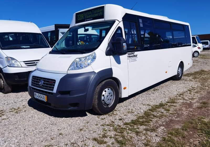 Fiat Ducato miejski, przewóz osób niepełnosprawnych - Linnaliini buss: pilt 1 Fiat Ducato miejski, przewóz osób niepełnosprawnych - Linnaliini buss: pilt 1