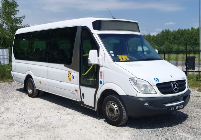 Maakonnaliini buss Mercedes-Benz Sprinter *klima*webasto*: pilt 1