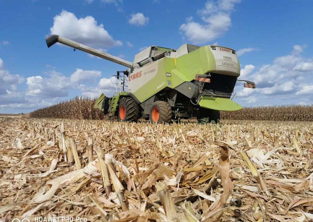 Uus Maisikoristusmasin Oros Cornado 6 4+2R Nowa Przystawka do kukurydzy: pilt 12