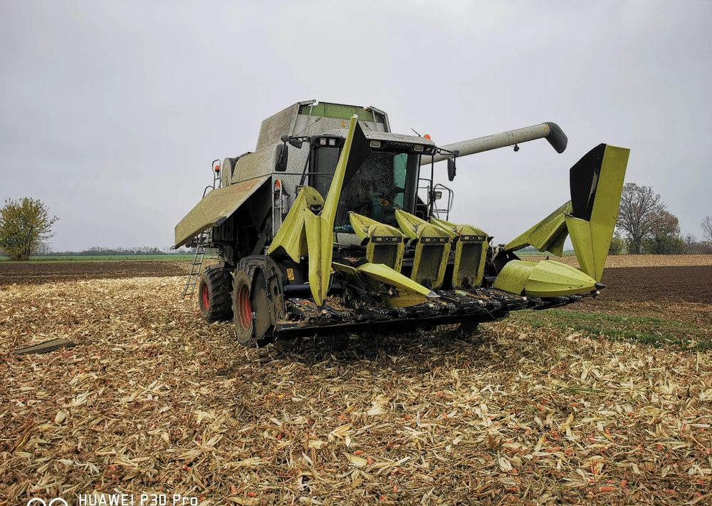 Uus Maisikoristusmasin Oros Cornado 6 4+2R Nowa Przystawka do kukurydzy: pilt 7