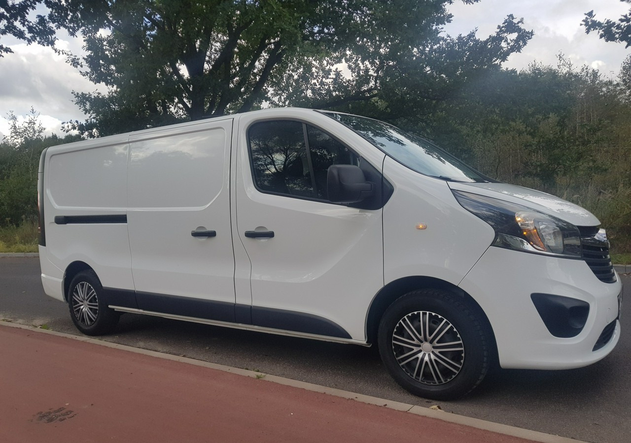 Opel Vivaro krajowy *jeden właściciel * - Kaubik: pilt 4 Opel Vivaro krajowy *jeden właściciel * - Kaubik: pilt 4