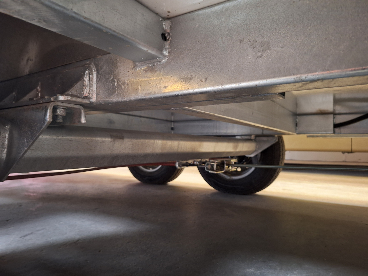 Deli Star Trailer 6000 Flower & General Sales - EU Standards - Toitlustus haagis: pilt 5 Deli Star Trailer 6000 Flower & General Sales - EU Standards - Toitlustus haagis: pilt 5