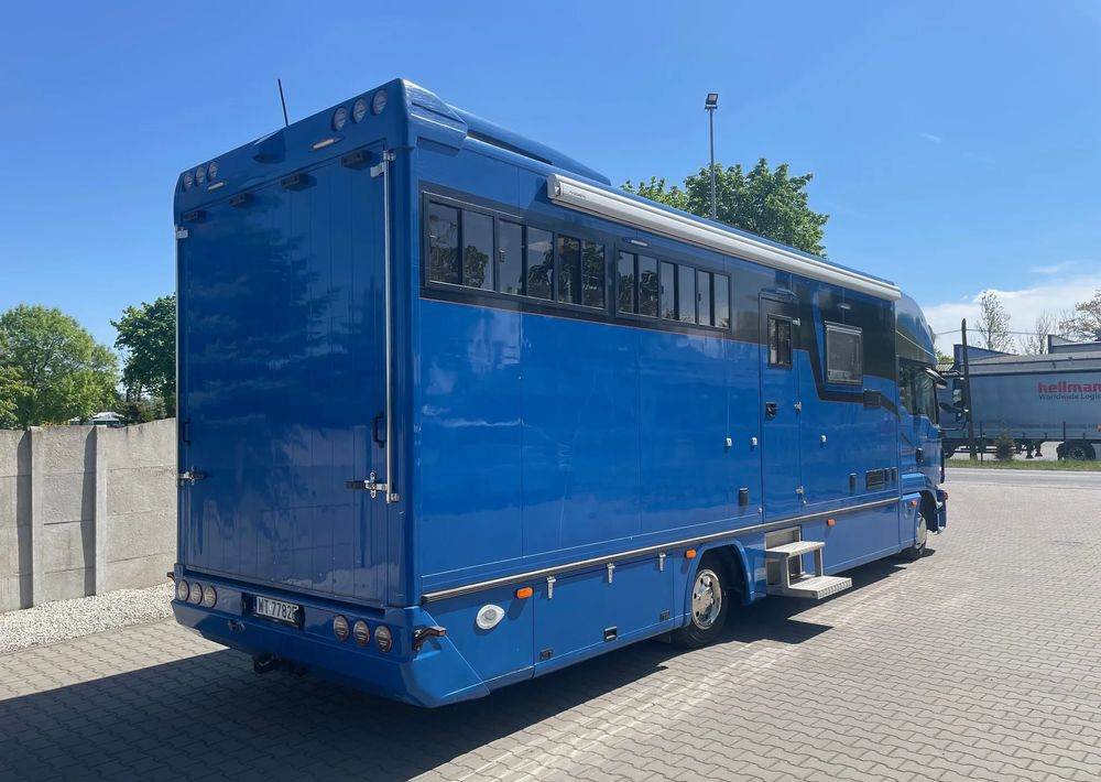 MAN TGL 12.250/ KONIOWÓZ- ROELOFSEN/ 4 KONIE/ - Hobuseauto: pilt 4 MAN TGL 12.250/ KONIOWÓZ- ROELOFSEN/ 4 KONIE/ - Hobuseauto: pilt 4