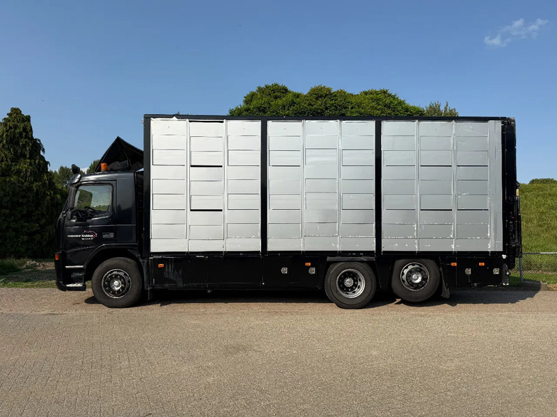 Volvo FM 300 Livestock Cuppers 3 laags 6x2 - Loomaveok: pilt 4 Volvo FM 300 Livestock Cuppers 3 laags 6x2 - Loomaveok: pilt 4