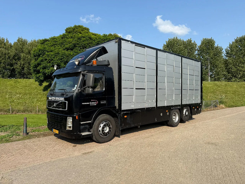 Volvo FM 300 Livestock Cuppers 3 laags 6x2 - Loomaveok: pilt 3 Volvo FM 300 Livestock Cuppers 3 laags 6x2 - Loomaveok: pilt 3