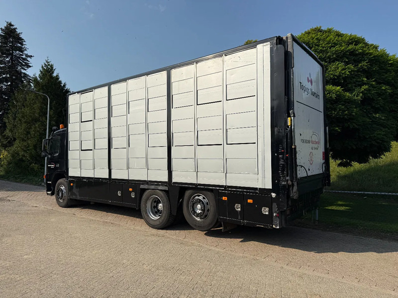 Volvo FM 300 Livestock Cuppers 3 laags 6x2 - Loomaveok: pilt 5 Volvo FM 300 Livestock Cuppers 3 laags 6x2 - Loomaveok: pilt 5