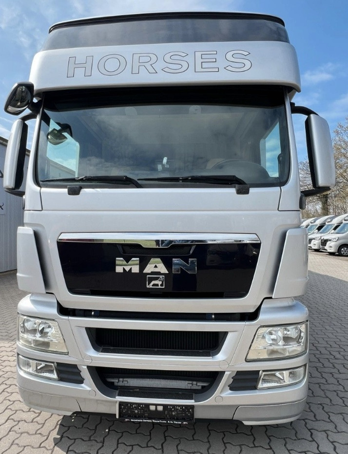 MAN 26.480 5 pferde - Hobuseauto: pilt 2 MAN 26.480 5 pferde - Hobuseauto: pilt 2