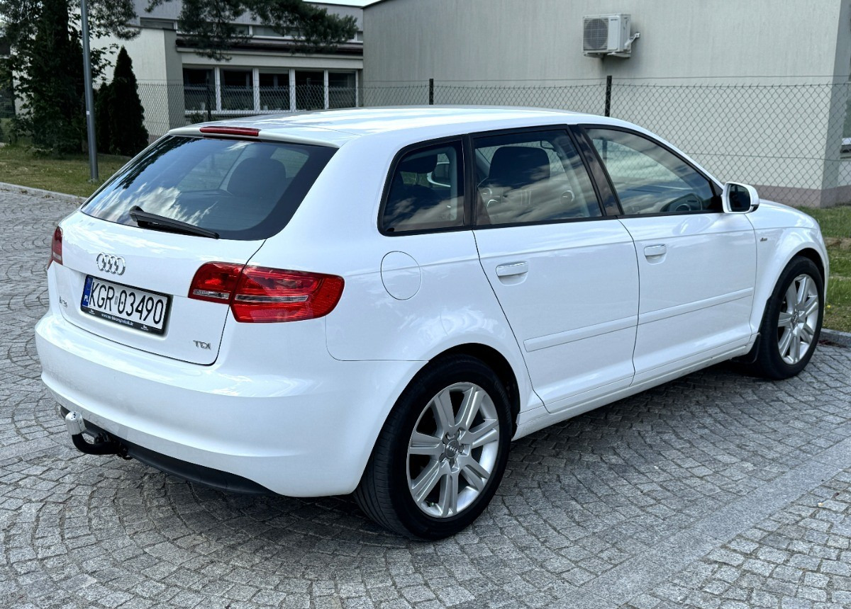 Audi A3 1.6 TDI 105KM Bezwypadkowy potwierdzony przebieg AUTO BARDZO ZADBANE - Auto: pilt 3 Audi A3 1.6 TDI 105KM Bezwypadkowy potwierdzony przebieg AUTO BARDZO ZADBANE - Auto: pilt 3