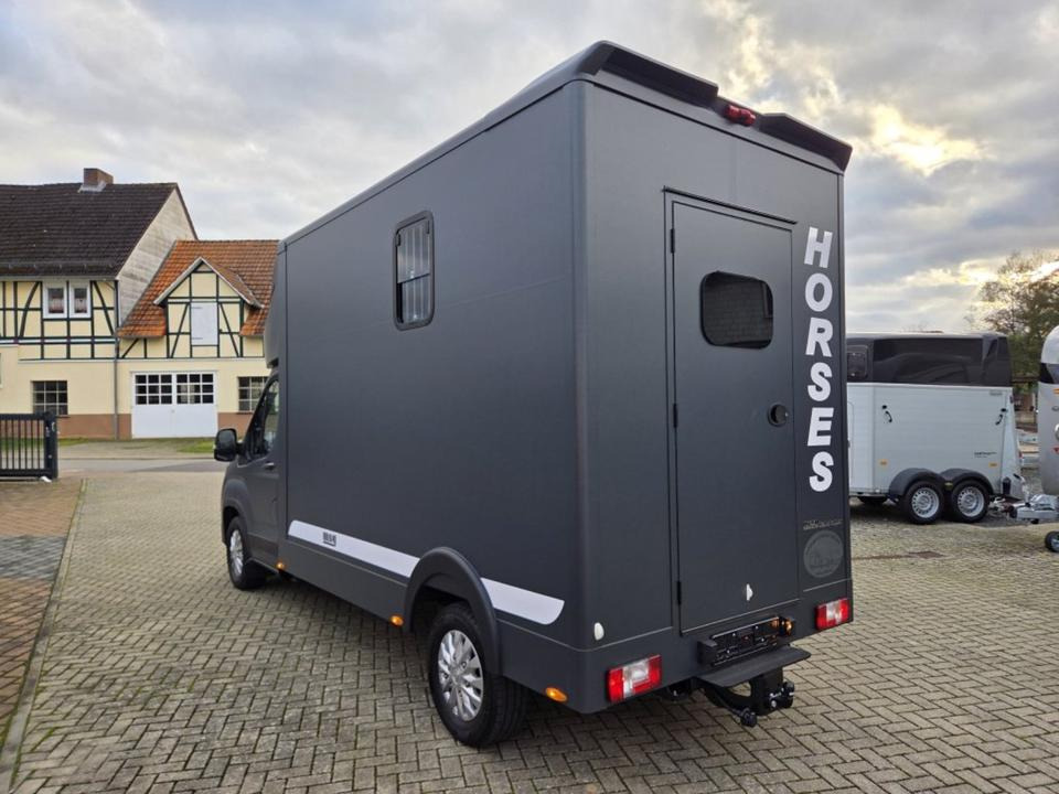 MSG Stablehopper Pferdetransporter Pferdeanhänger Böckmann - Hobuseauto: pilt 4 MSG Stablehopper Pferdetransporter Pferdeanhänger Böckmann - Hobuseauto: pilt 4