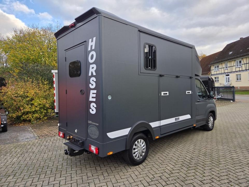 MSG Stablehopper Pferdetransporter Pferdeanhänger Böckmann - Hobuseauto: pilt 3 MSG Stablehopper Pferdetransporter Pferdeanhänger Böckmann - Hobuseauto: pilt 3